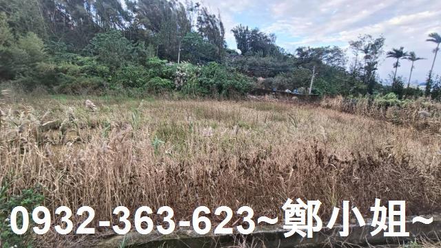 大溪農地-5