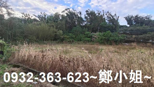 大溪農地-6