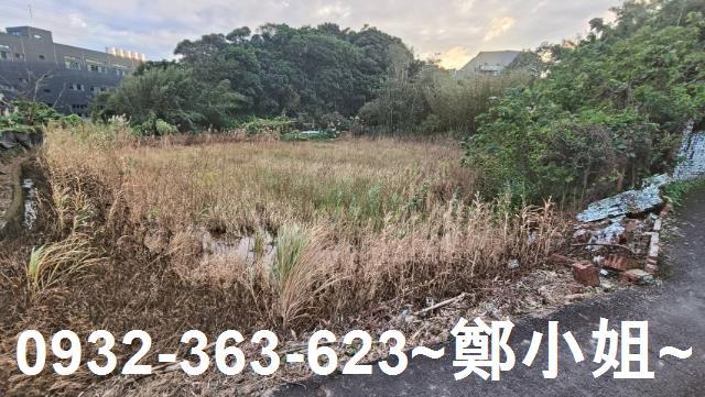 大溪農地-8