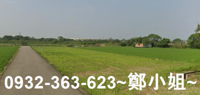 新屋農地-3