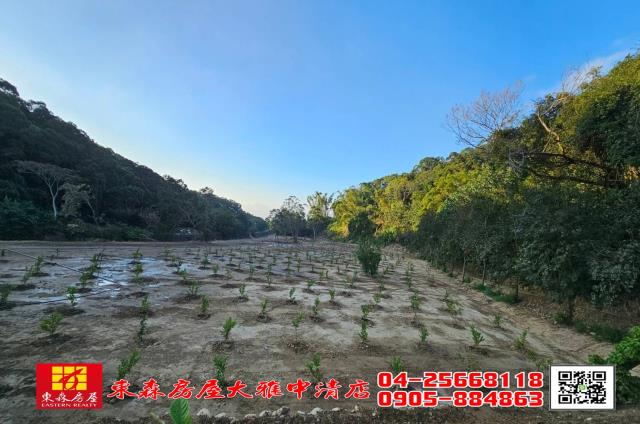 苑裡農地-3