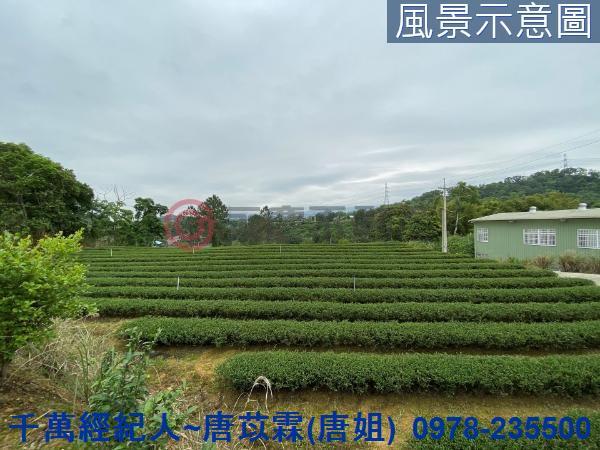 新竹農地-2