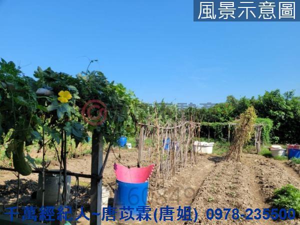 新竹農地-10