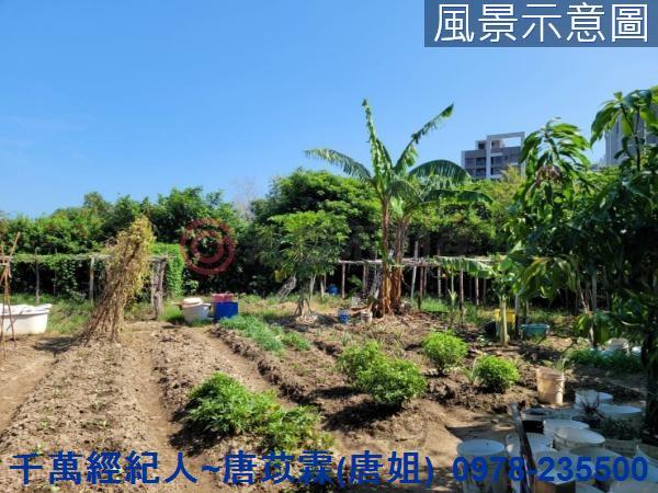 新竹農地-7