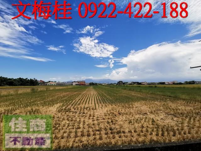 宜蘭壯圍農地-5