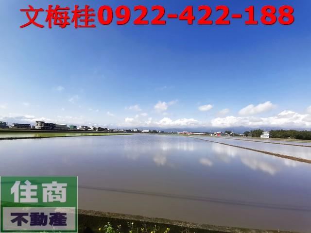 宜蘭壯圍農地-1