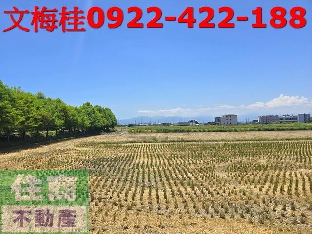壯圍農地-2