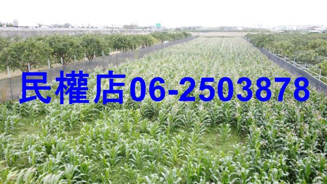 台南農地-2
