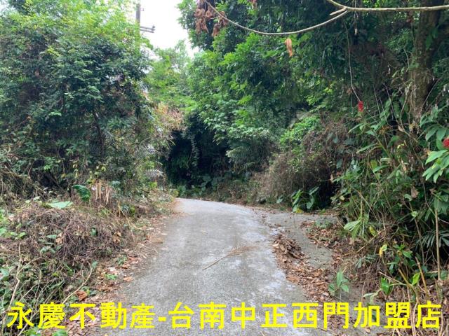 台南農地-8