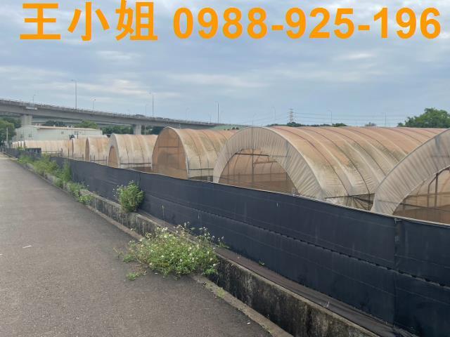 桃園桃園區農地-3