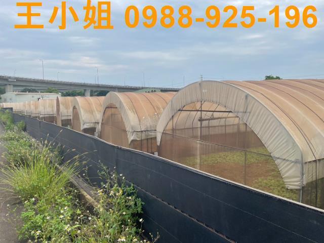 桃園桃園區農地-4