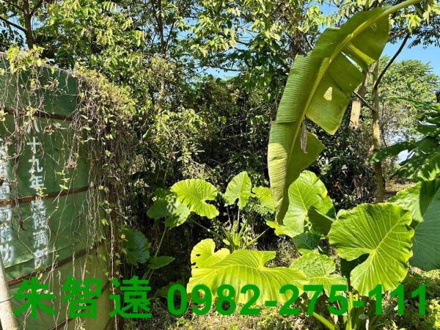 台南楠西農地-12