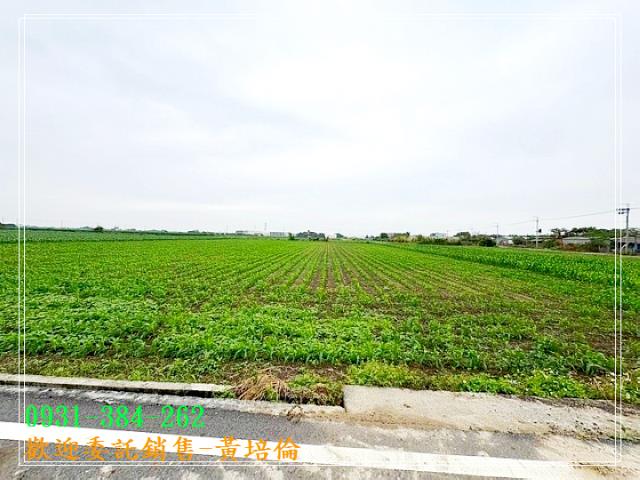 鹽水番子厝段優質農地