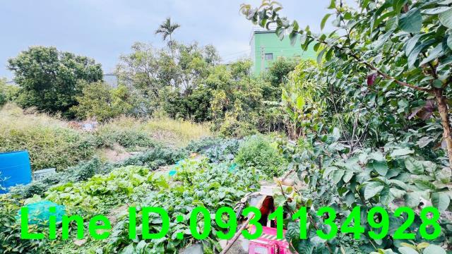 苗栗農地-3