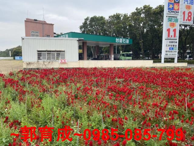 嘉義西區農地-1