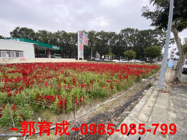 嘉義西區農地-3