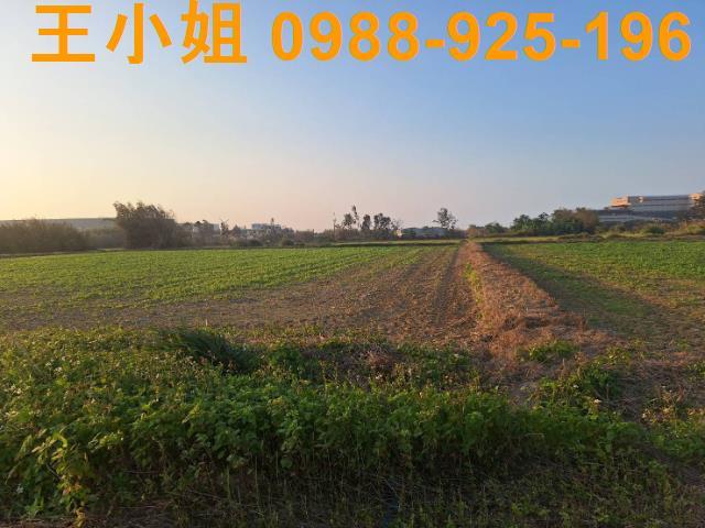 桃園觀音農地-10