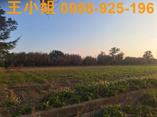 桃園觀音農地-2