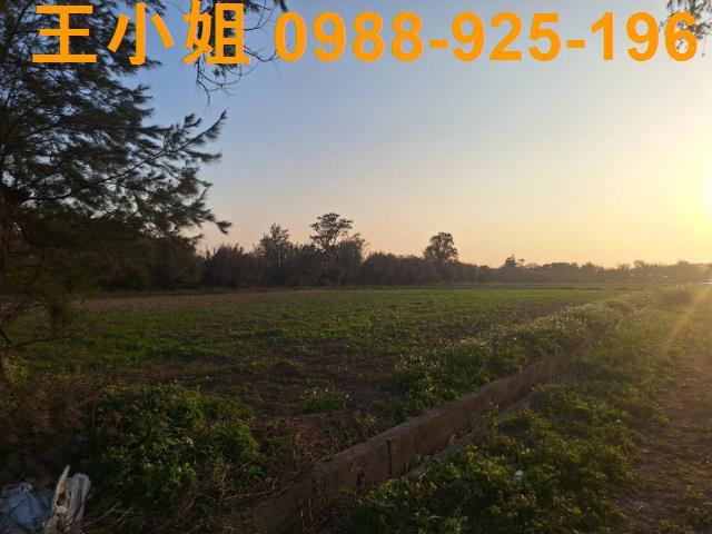 桃園觀音農地-3