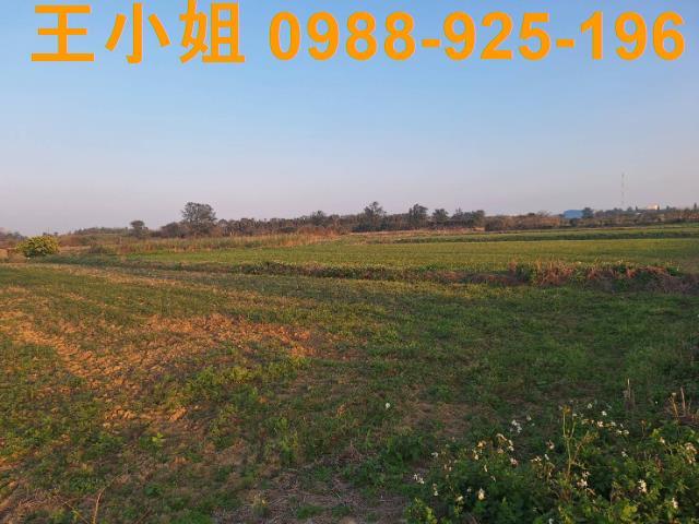 桃園觀音農地-8