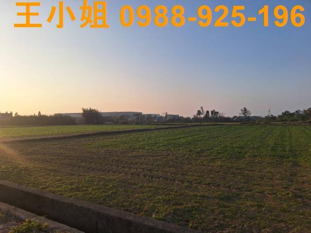 桃園觀音農地-9