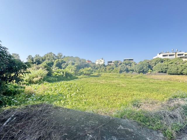 南投名間農地-8