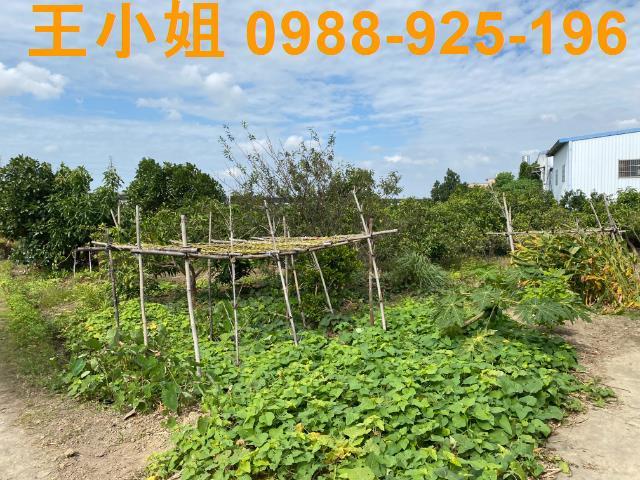 桃園桃園區農地-1