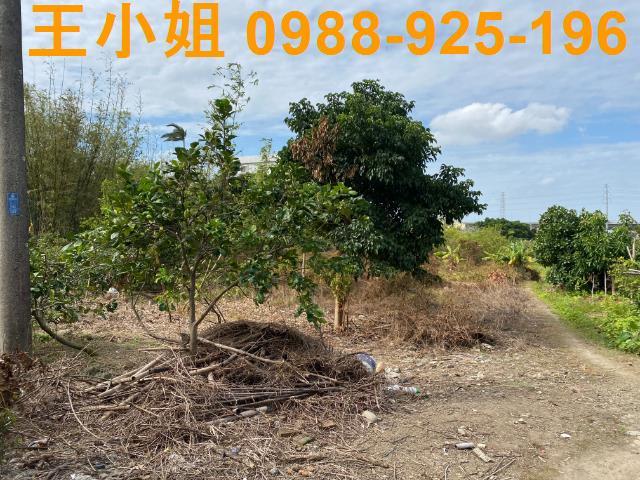 桃園桃園區農地-3