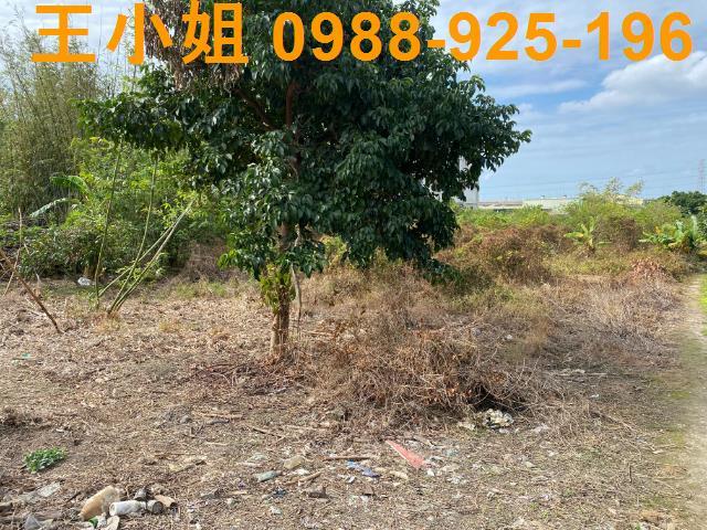 桃園桃園區農地-4