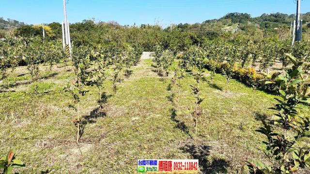 峨眉農地-10