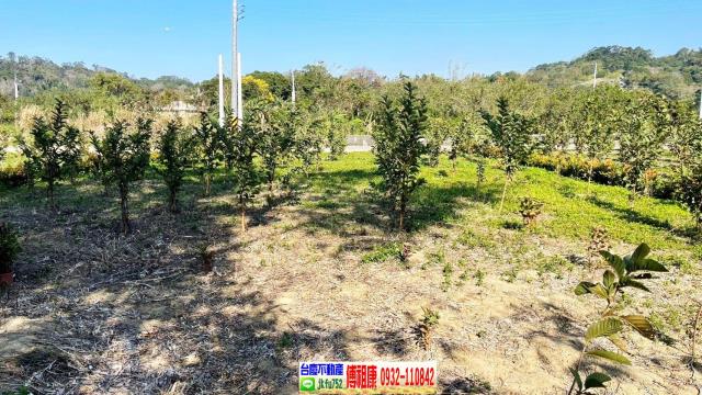 峨眉農地-13