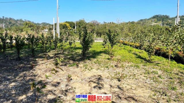 峨眉農地-7