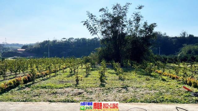 峨眉農地-8