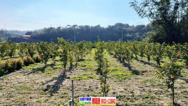 峨眉農地-9
