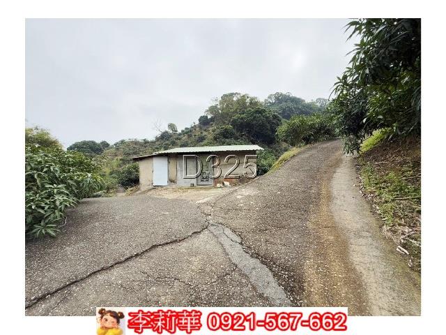 玉井農地-1