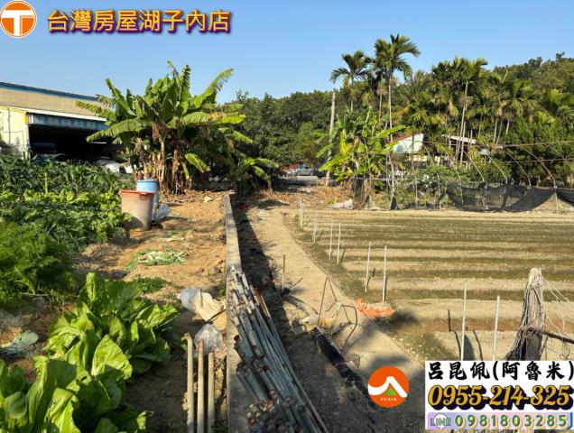 嘉義西區農地-3