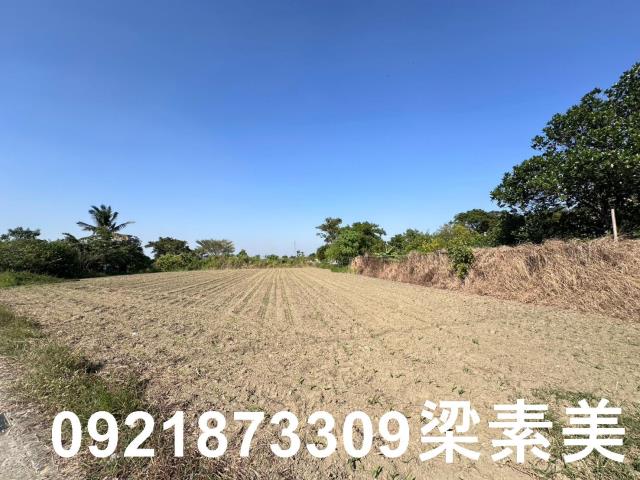 新化農地-2