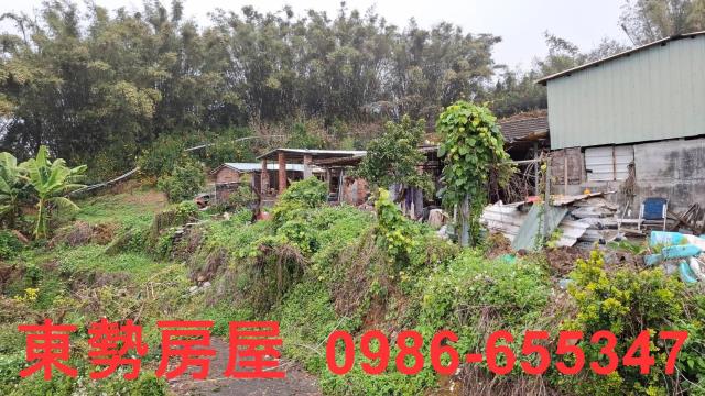 卓蘭農地-10