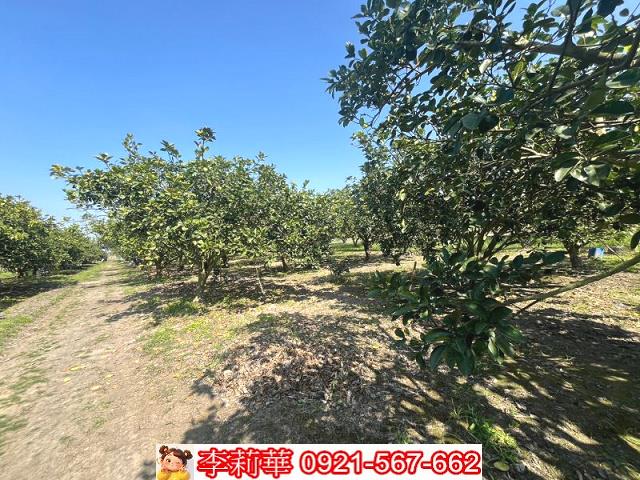 官田農地-8