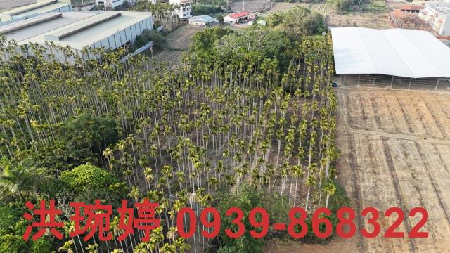 南投名間農地-7
