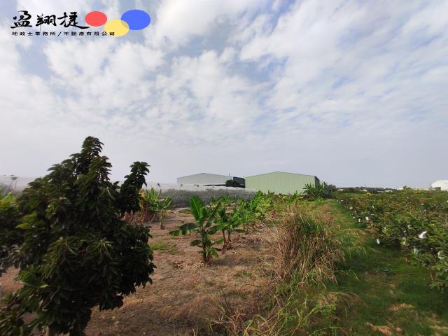 岡山農地-3