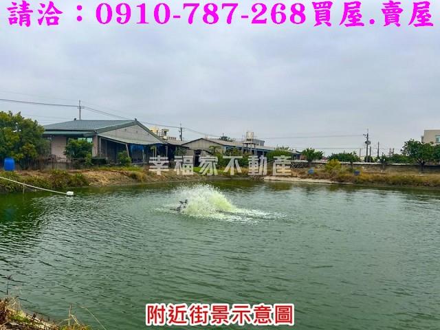麻豆農地-8