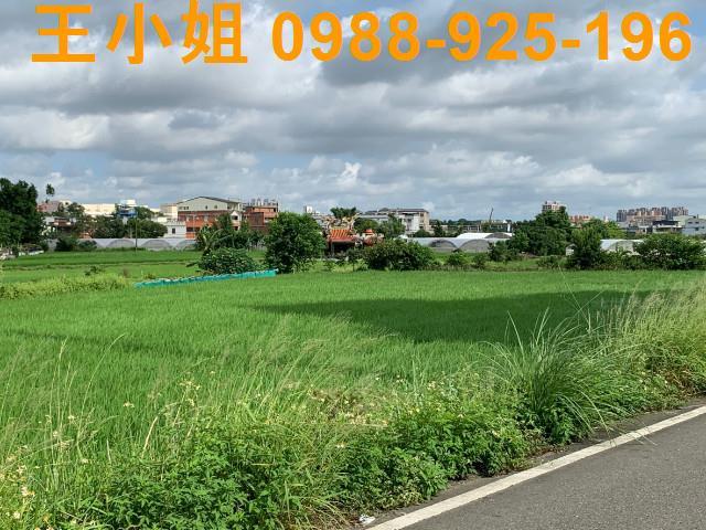 桃園大溪農地-2
