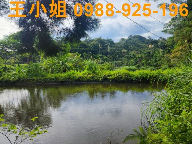 桃園大溪農地-2