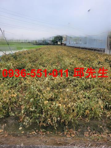 大寮農地-1