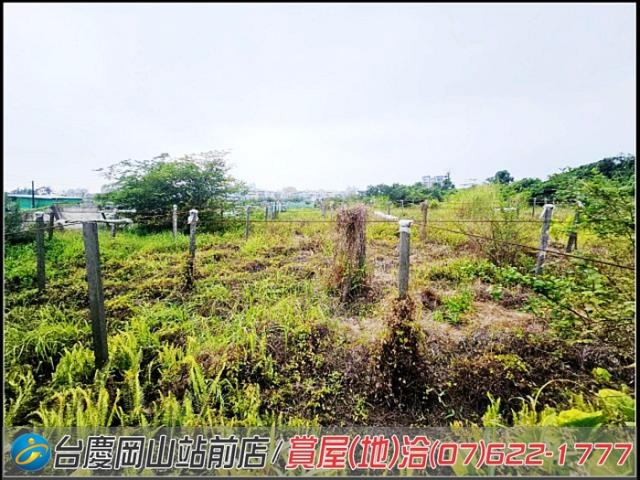 大社農地-12