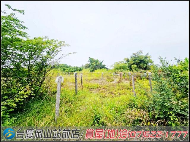 大社農地-14