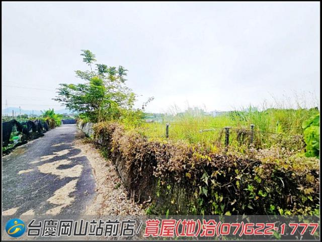 大社農地-15