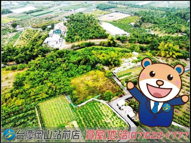 大社農地-1