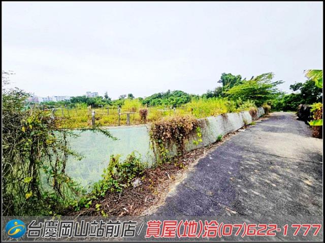 大社農地-6